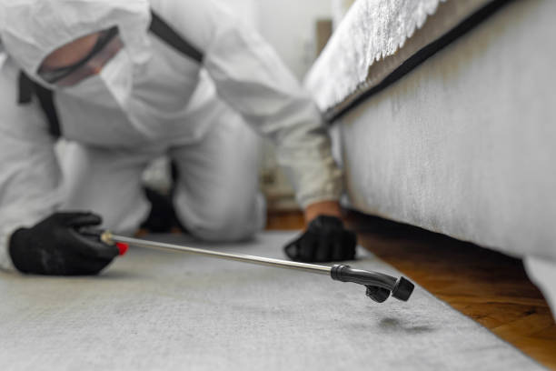 Professional Termite Control technician working in Hawthorn Woods, IL