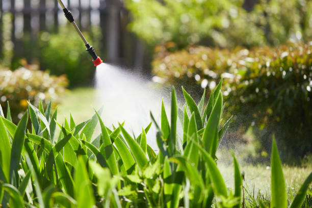 24/7 Emergency Termite Control experts in Hawthorn Woods, IL