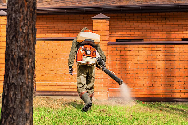 Trusted Cockroach Control service in Hawthorn Woods, IL - Nex Pest Control